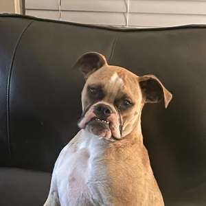 Meet your Posher, Stacy